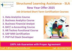 Data Analyst Course in Delhi, 110075. Certification for "Online Data Analyst Course", 100% Job