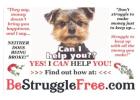 Post your ads free on animead.com