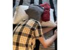Fall Asleep Quickly